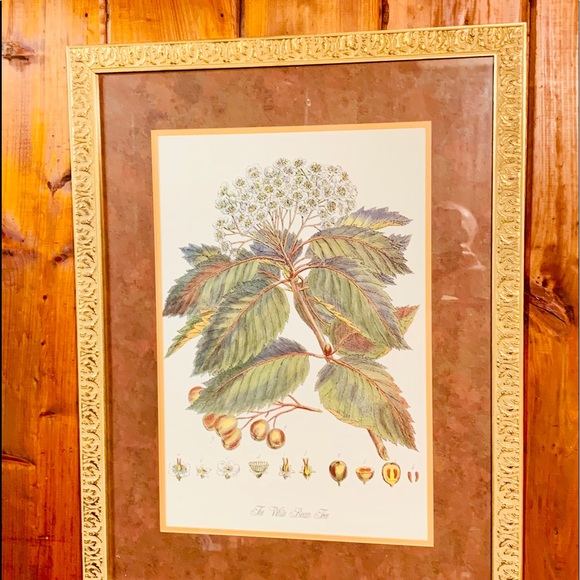 Meet your Posher, Clifton - Picture 2 of 2